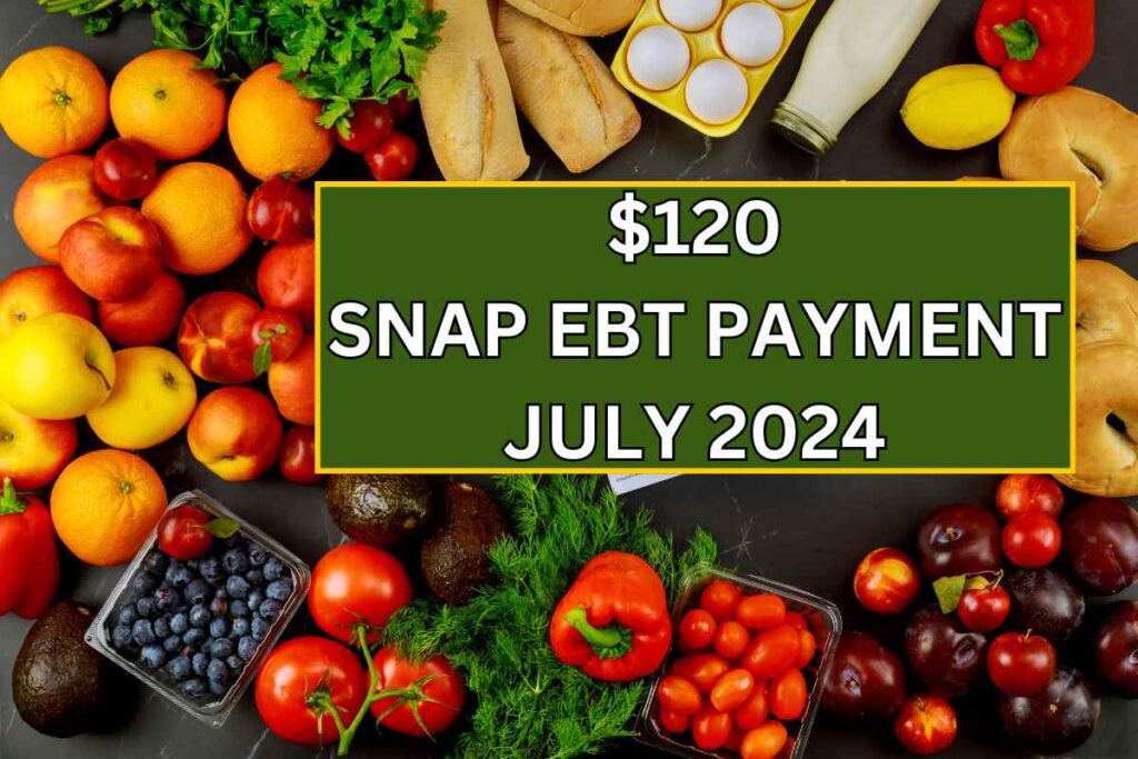 $120 SNAP EBT Payment July 2024