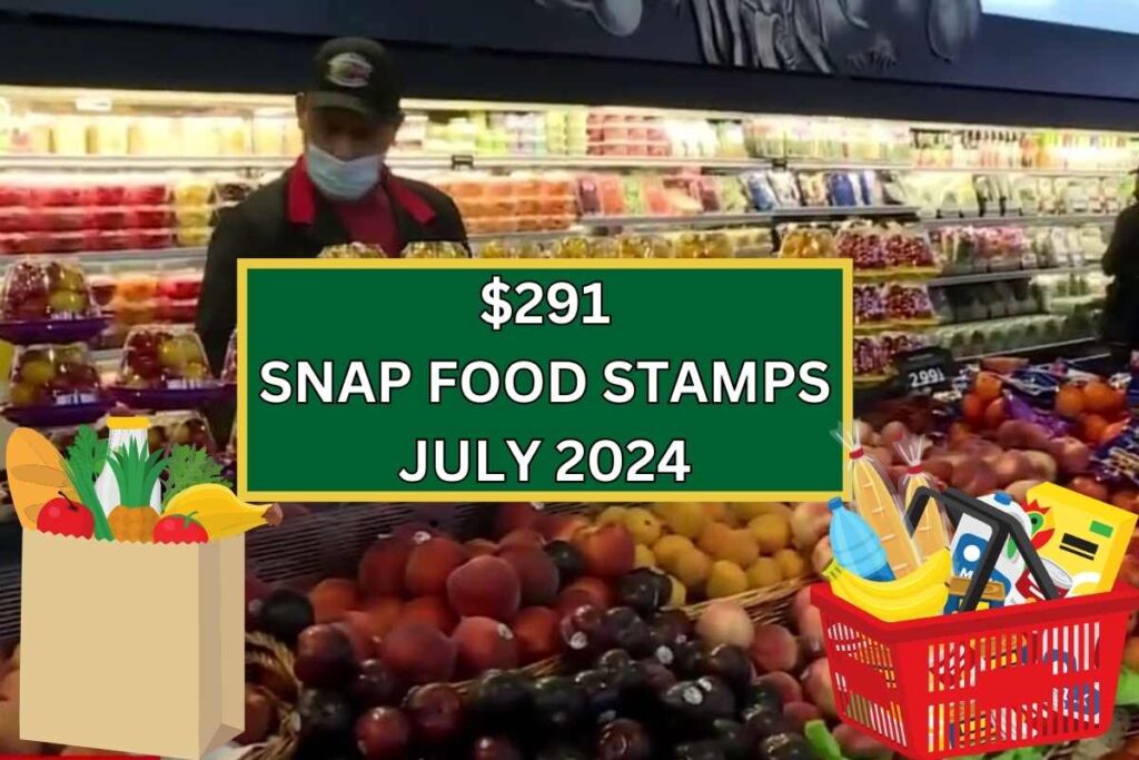 $291 SNAP Food Stamps July 2024