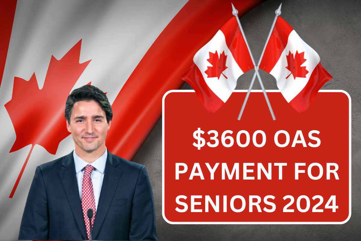 $3600 OAS Payment Date July 2024 For Seniors - Check Eligibility Update