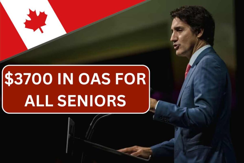 $3700 In OAS For All Seniors In August 2024 - Know Who Qualifies By CRA