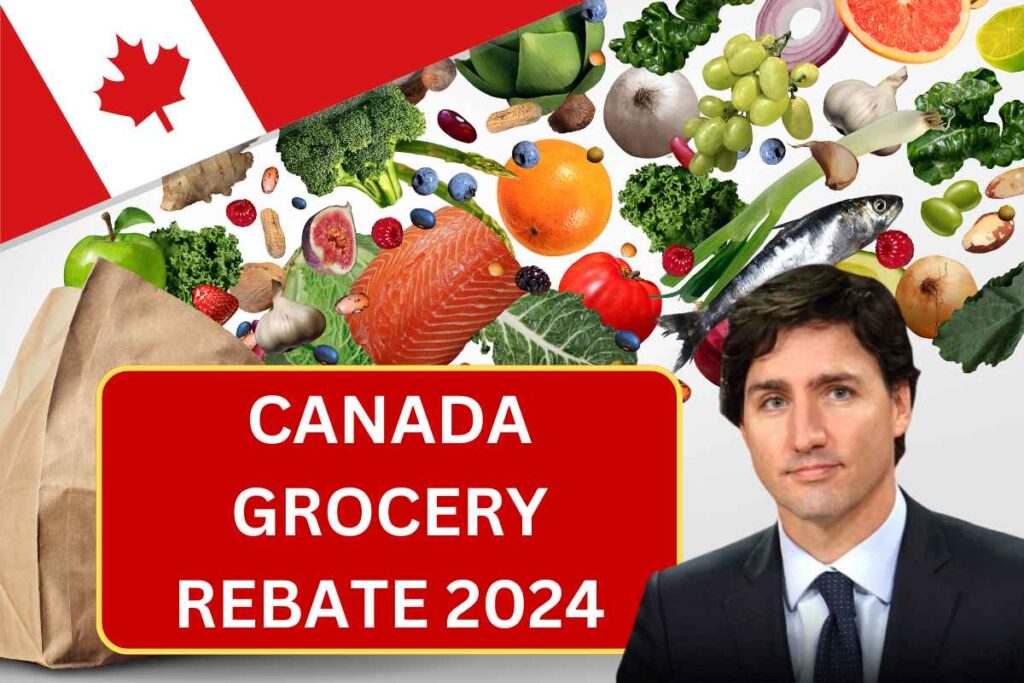 Canada Grocery Rebate In July 2024 - Know Payment Date & Eligibility