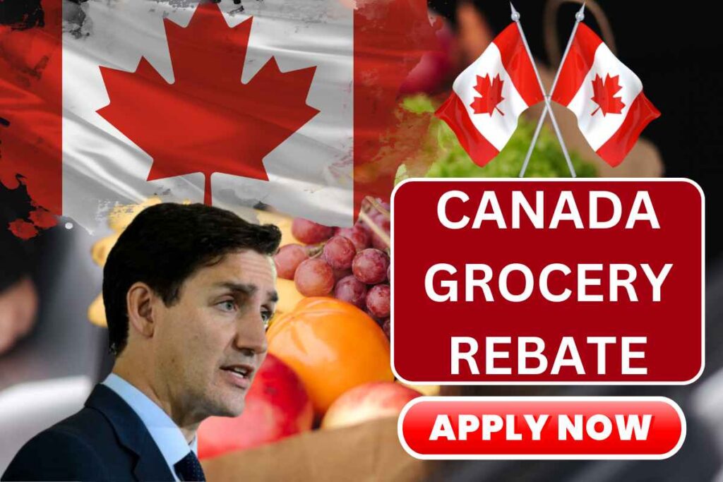 Canada Grocery Rebate August 2024 - Check Payment Date & Amount